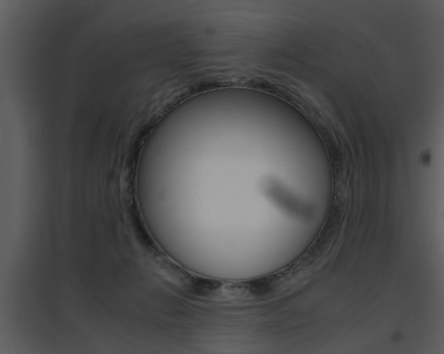 X0000095670270200801081046