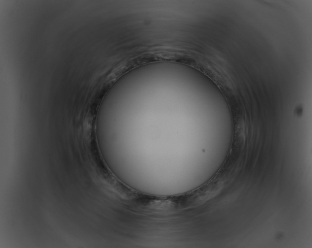 X0000095670271200801081046