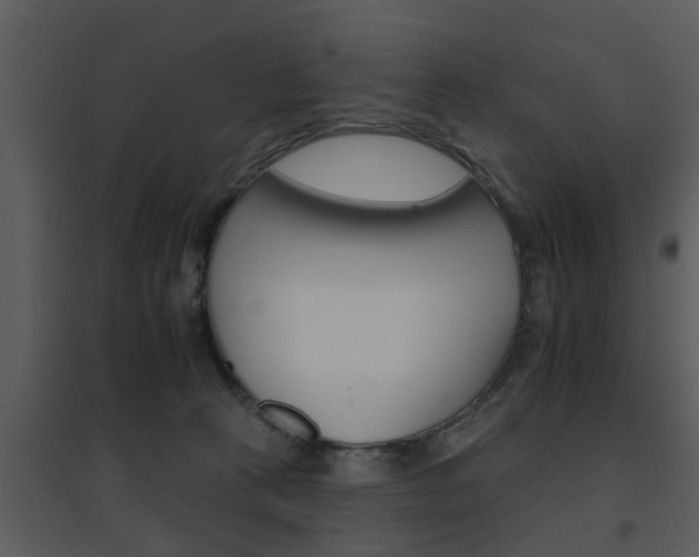 X0000095670273200801081046