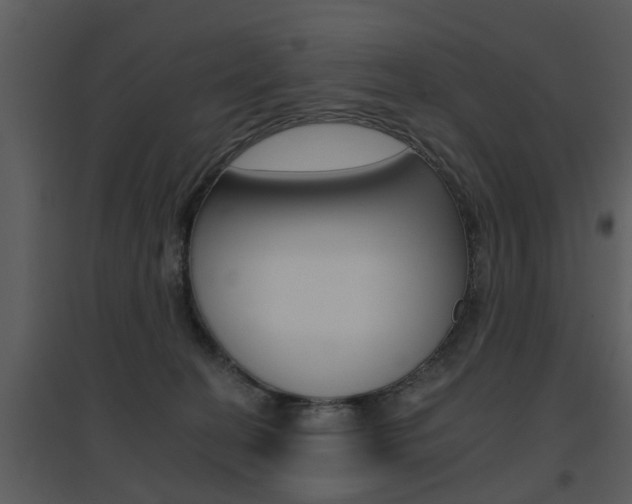 X0000095670274200801081046