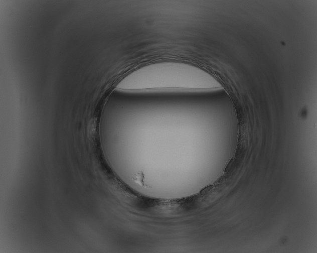 X0000095670278200801081046