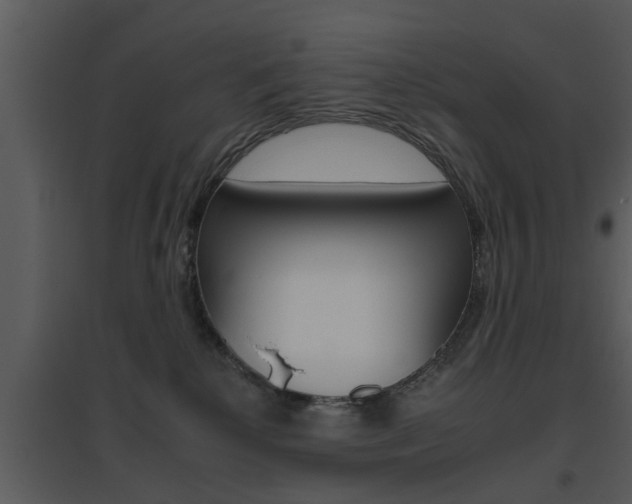 X0000095670280200801081047
