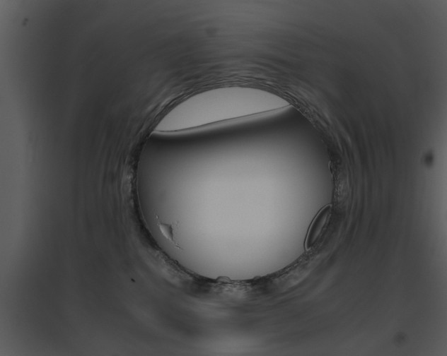 X0000095670282200801081047