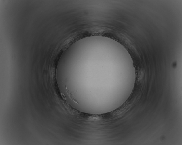 X0000095670283200801081047