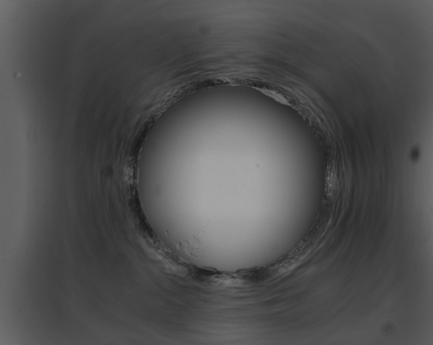 X0000095670284200801081047