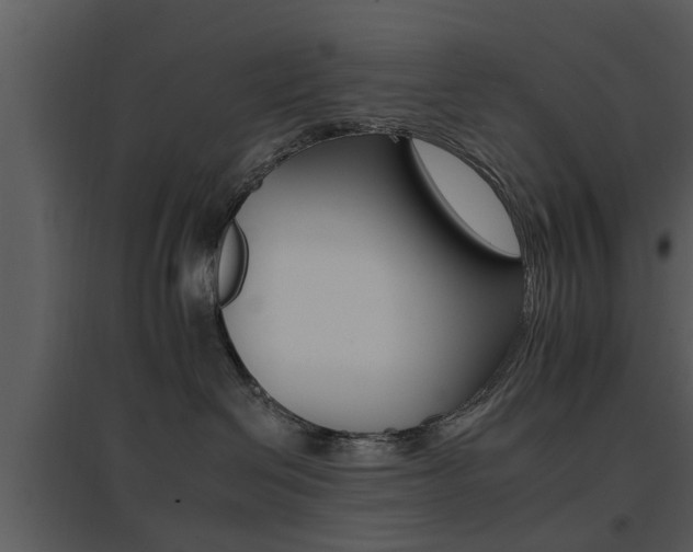X0000095670286200801081047