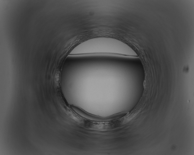 X0000095670288200801081047