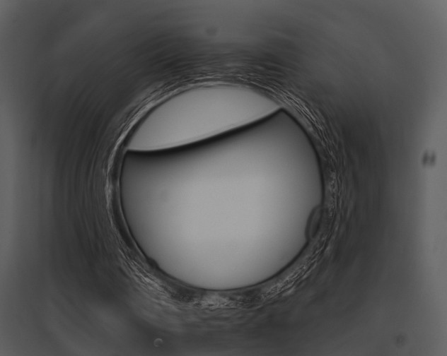 X0000095670290200801081046