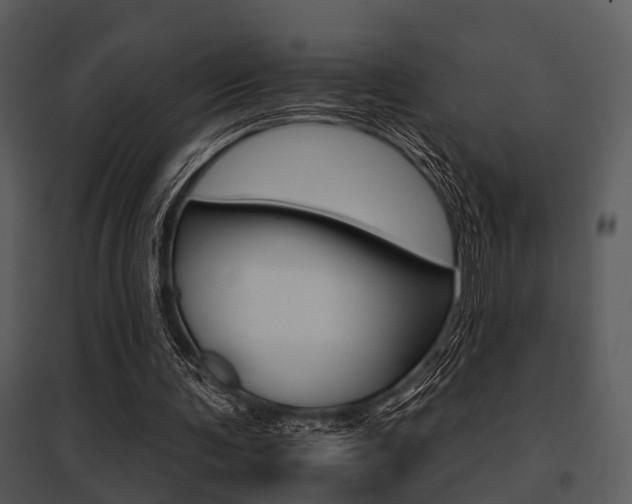 X0000095670291200801081046