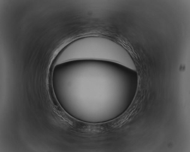 X0000095670292200801081046