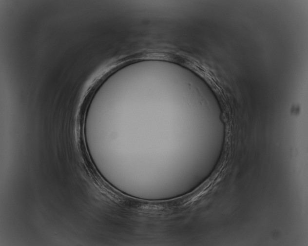 X0000095670294200801081046