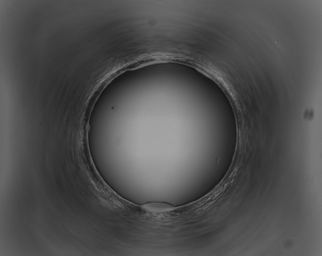 X0000095670297200801081046