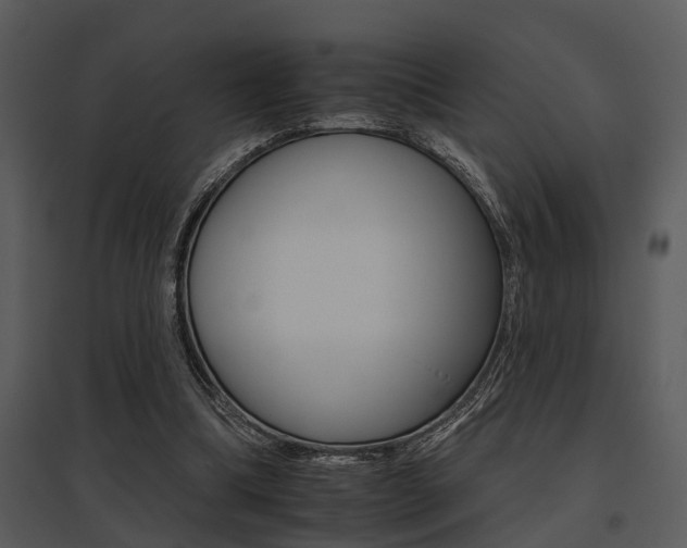 X0000095670298200801081046