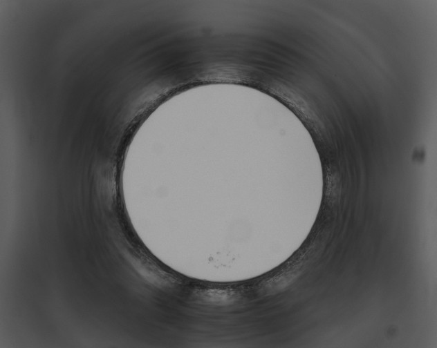 X0000095670302200801081046