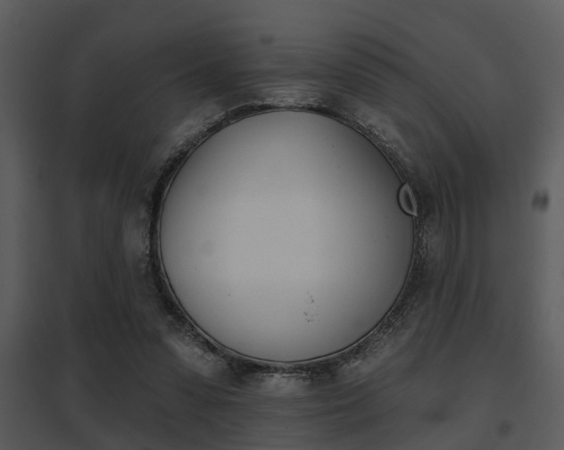 X0000095670303200801081046