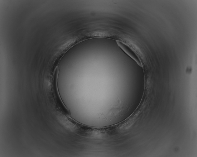 X0000095670305200801081046