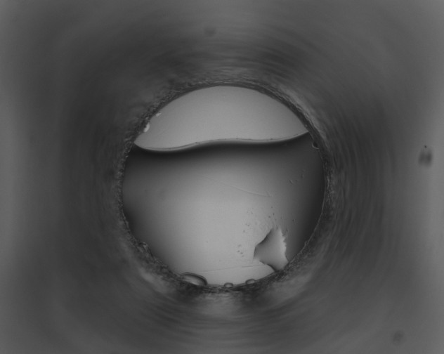 X0000095670307200801081046