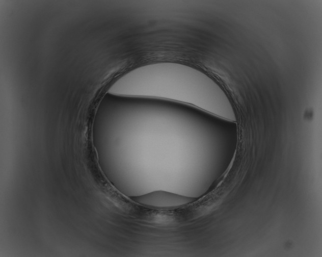 X0000095670308200801081046