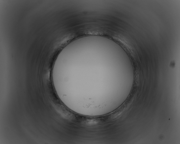 X0000095670310200801081046