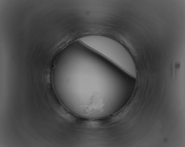 X0000095670313200801081045