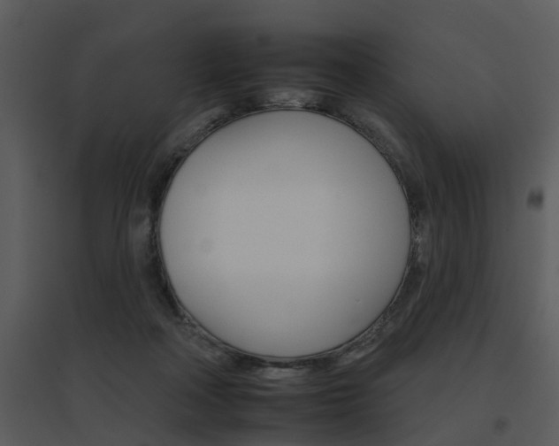 X0000095670314200801081045