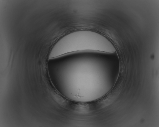 X0000095670317200801081045