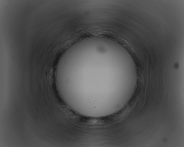 X0000095670319200801081045
