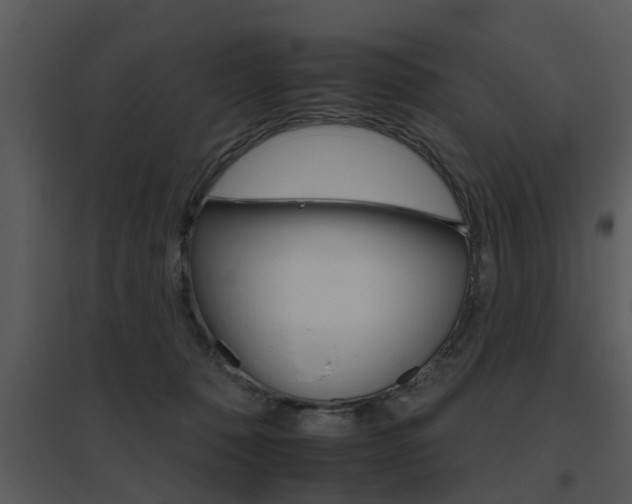 X0000095670320200801081045
