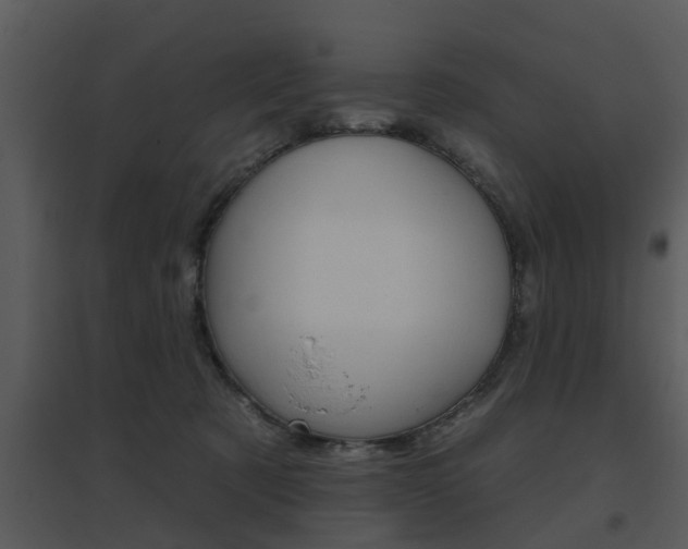 X0000095670321200801081045