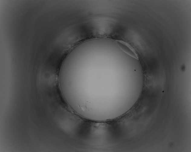 X0000095670324200801081045