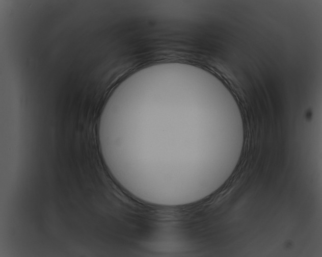 X0000095670325200801081045