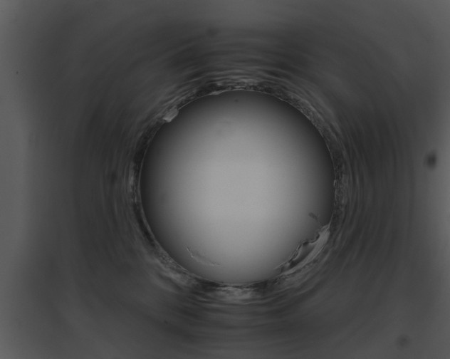 X0000095670328200801081045