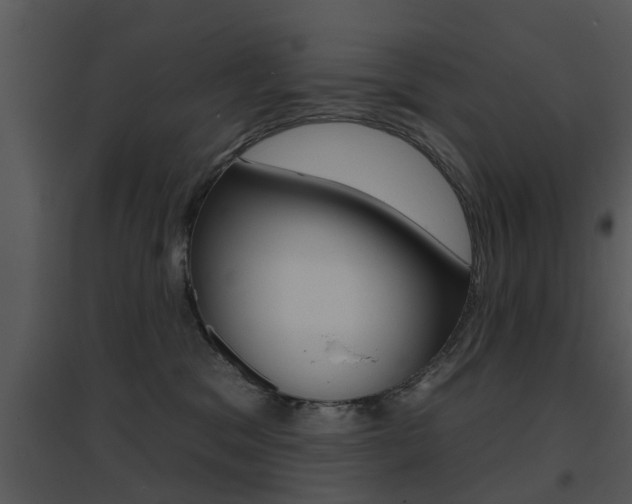 X0000095670329200801081045