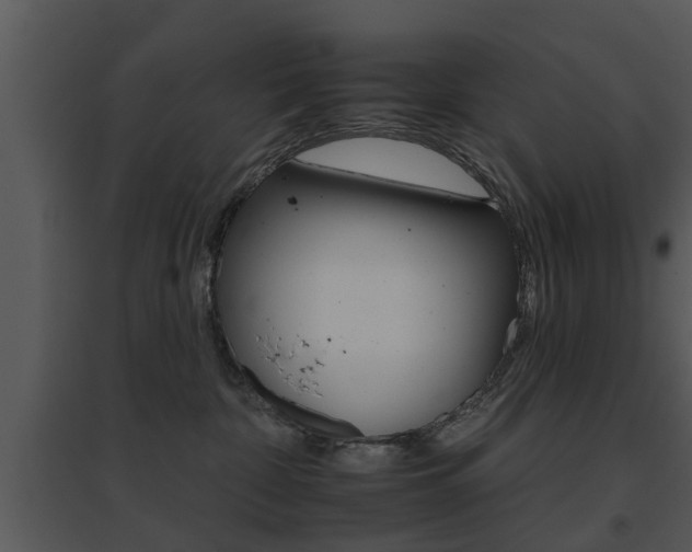 X0000095670332200801081045
