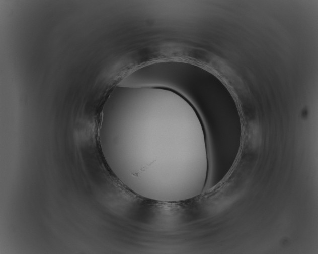 X0000095670333200801081045