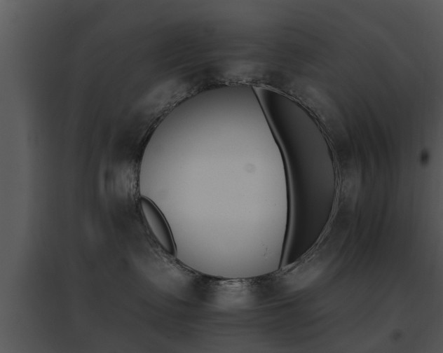 X0000095670335200801081045