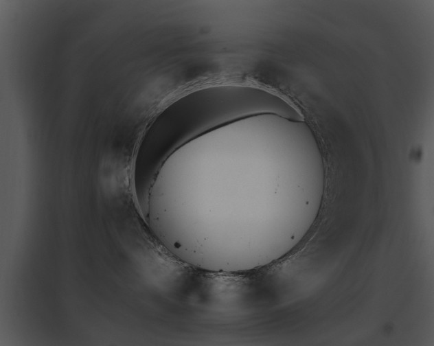 X0000095670336200801081045