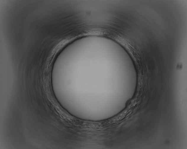 X0000095670337200801081045