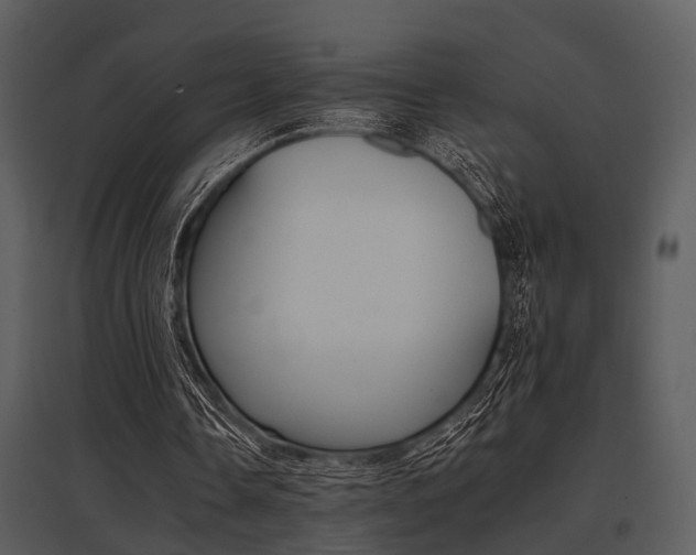 X0000095670338200801081045