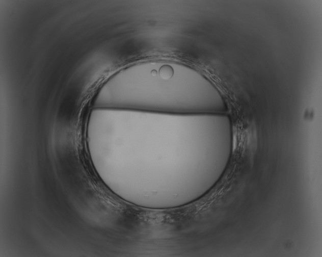 X0000095670339200801081045