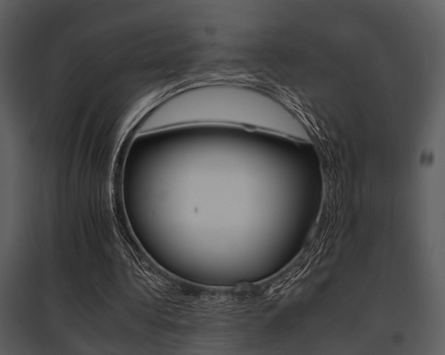 X0000095670340200801081045