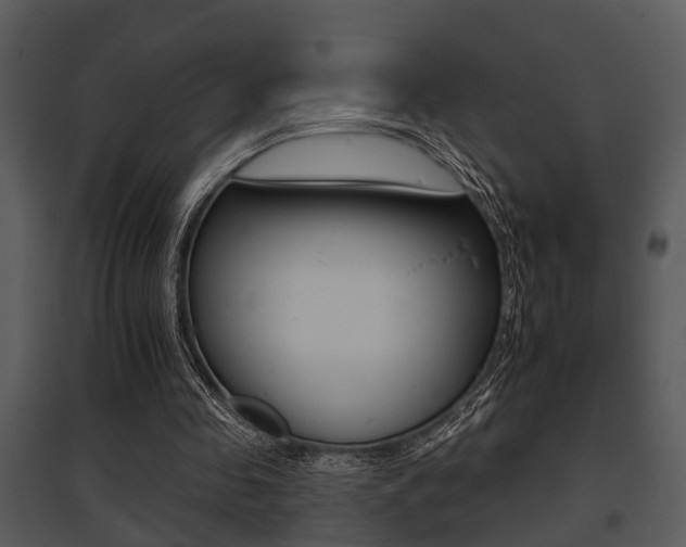 X0000095670341200801081045
