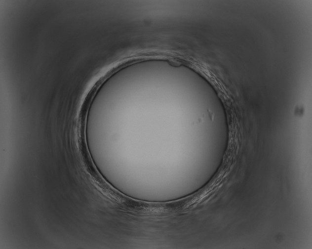 X0000095670342200801081045