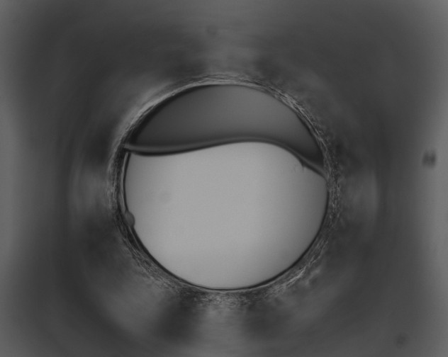 X0000095670343200801081045