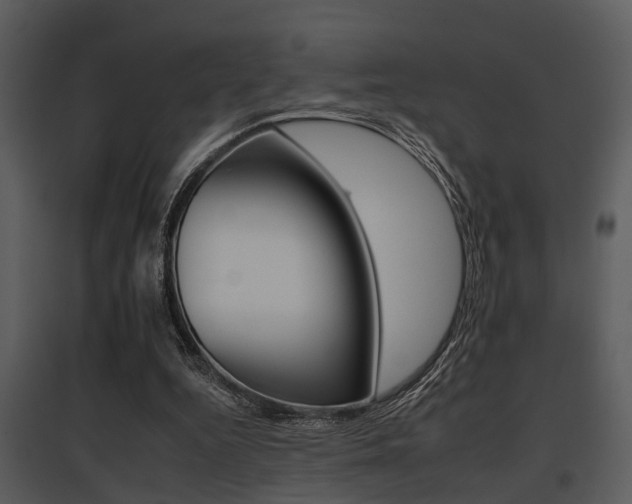 X0000095670344200801081045