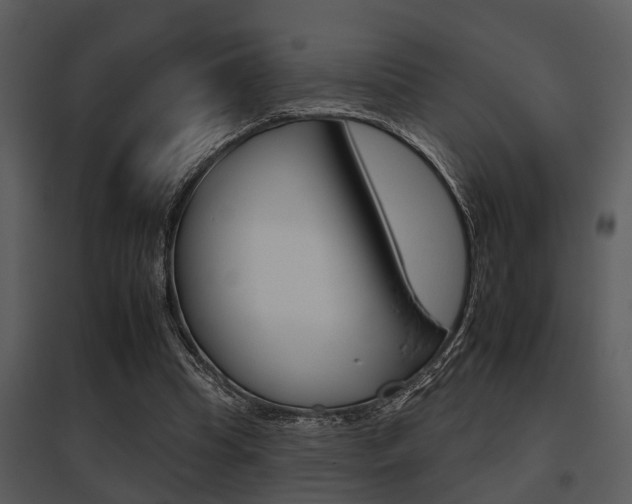 X0000095670345200801081045