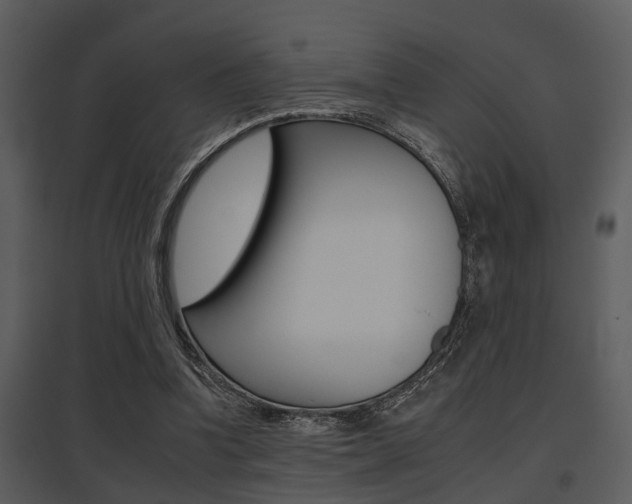 X0000095670346200801081045