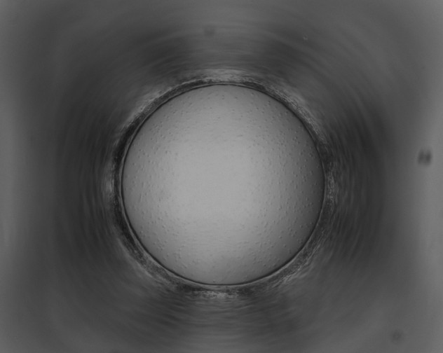 X0000095670347200801081045