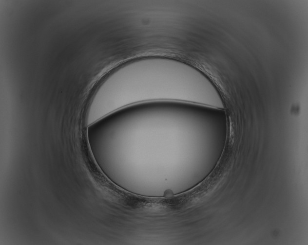 X0000095670348200801081045