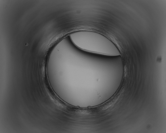 X0000095670349200801081045